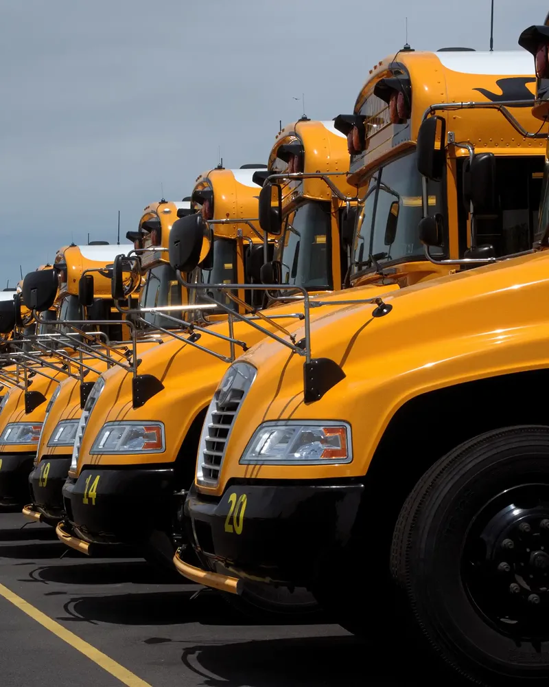 A row of Thomas Built school buses